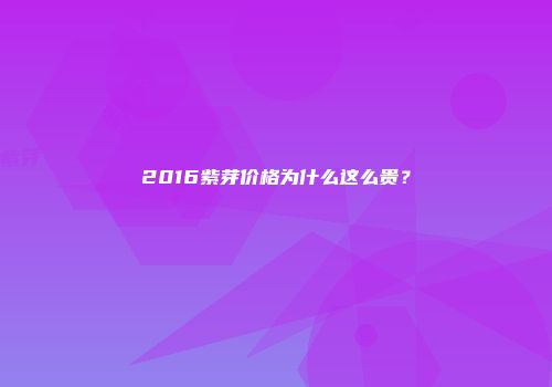 2016紫芽价格为什么这么贵？