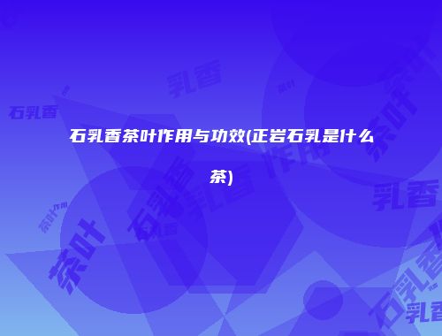 石乳香茶叶作用与功效(正岩石乳是什么茶)