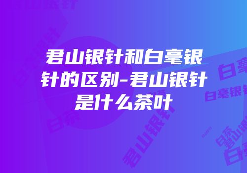 君山银针和白毫银针的区别-君山银针是什么茶叶