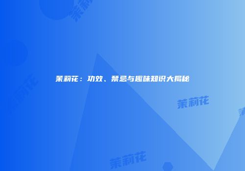 茉莉花：功效、禁忌与趣味知识大揭秘