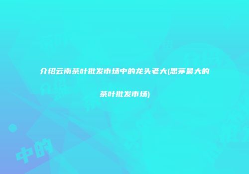 介绍云南茶叶批发市场中的龙头老大(思茅最大的茶叶批发市场)