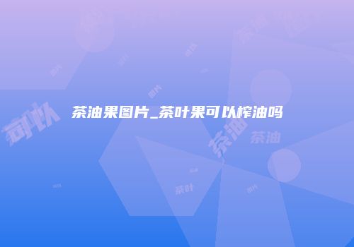 茶油果图片_茶叶果可以榨油吗