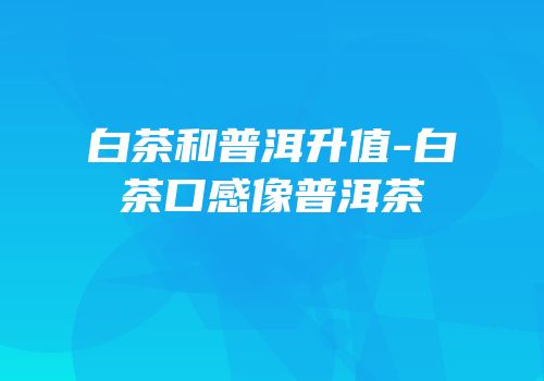 白茶和普洱升值-白茶口感像普洱茶
