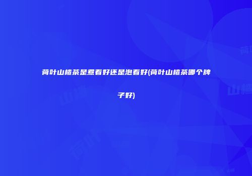 荷叶山楂茶是煮着好还是泡着好(荷叶山楂茶哪个牌子好)