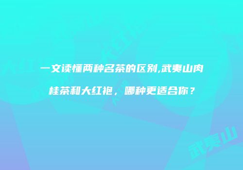 一文读懂两种名茶的区别,武夷山肉桂茶和大红袍，哪种更适合你？