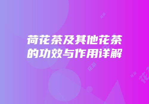 荷花茶及其他花茶的功效与作用详解
