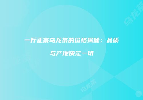 一斤正宗乌龙茶的价格揭秘：品质与产地决定一切