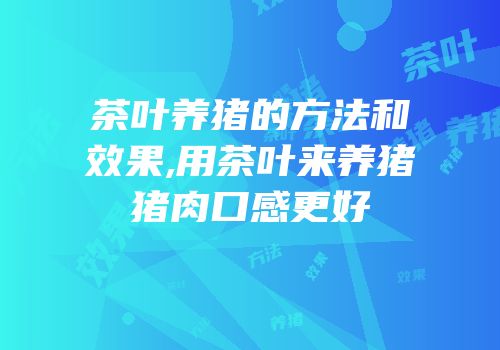 茶叶养猪的方法和效果,用茶叶来养猪猪肉口感更好