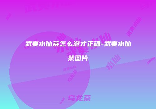 武夷水仙茶怎么泡才正确-武夷水仙茶图片
