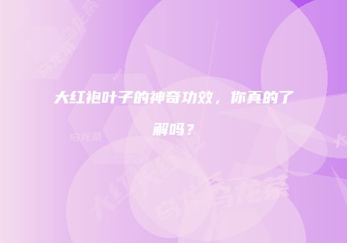 大红袍叶子的神奇功效，你真的了解吗？