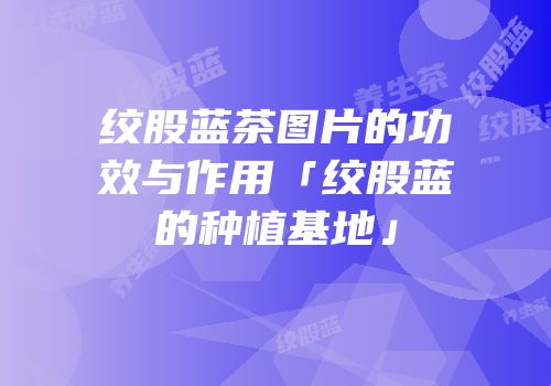 绞股蓝茶图片的功效与作用「绞股蓝的种植基地」