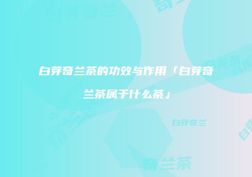白芽奇兰茶的功效与作用「白芽奇兰茶属于什么茶」