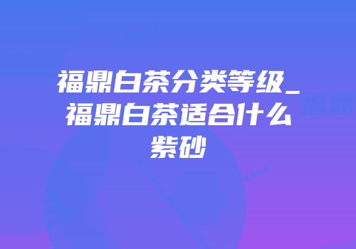 福鼎白茶分类等级_福鼎白茶适合什么紫砂