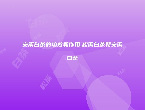 安溪白茶的功效和作用,松溪白茶和安溪白茶