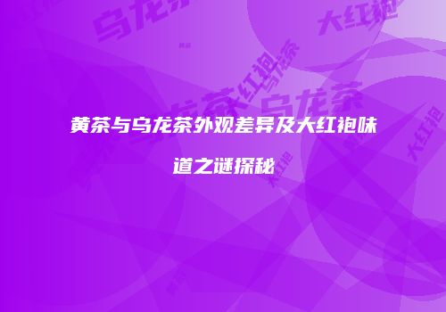 黄茶与乌龙茶外观差异及大红袍味道之谜探秘