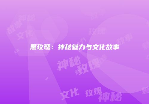 黑玫瑰：神秘魅力与文化故事