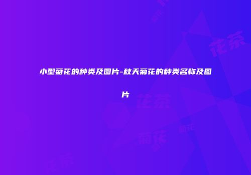 小型菊花的种类及图片-秋天菊花的种类名称及图片