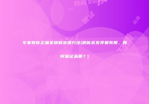 专家教你正确采摘和处理方法(明前茶发芽量有限，如何保证品质？)