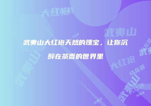 武夷山大红袍天然的瑰宝，让你沉醉在茶香的世界里