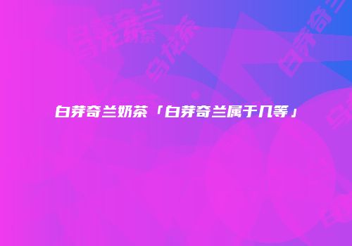 白芽奇兰奶茶「白芽奇兰属于几等」