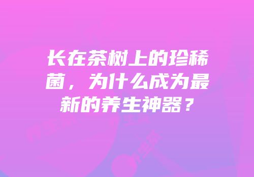 长在茶树上的珍稀菌，为什么成为最新的养生神器？