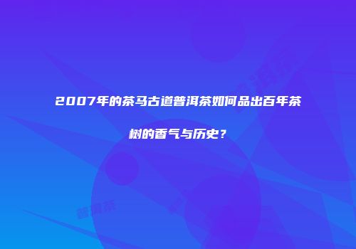 2007年的茶马古道普洱茶如何品出百年茶树的香气与历史？