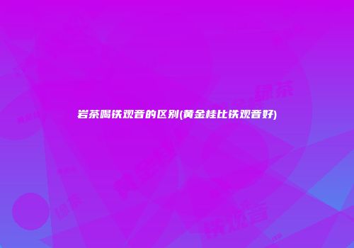 岩茶喝铁观音的区别(黄金桂比铁观音好)