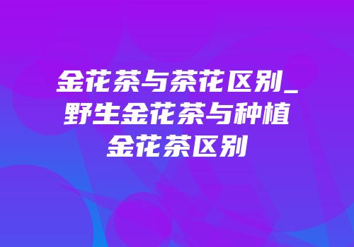 金花茶与茶花区别_野生金花茶与种植金花茶区别