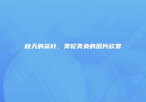 秋天的茶叶，美轮美奂的图片欣赏
