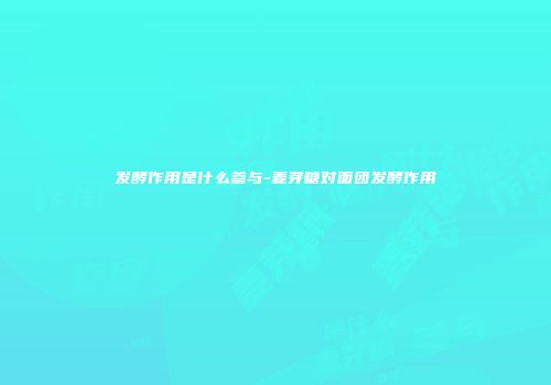 发酵作用是什么参与-麦芽糖对面团发酵作用