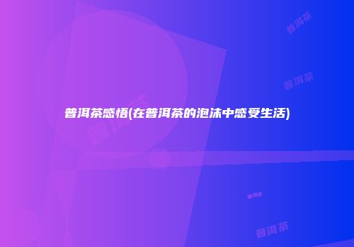 普洱茶感悟(在普洱茶的泡沫中感受生活)