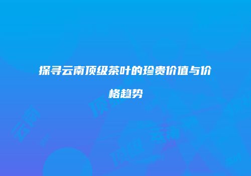 探寻云南顶级茶叶的珍贵价值与价格趋势