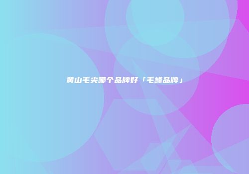 黄山毛尖哪个品牌好「毛峰品牌」