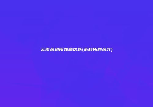 云南茶科所龙腾虎跃(茶科所的茶叶)