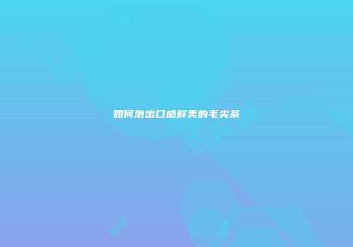 如何泡出口感鲜美的毛尖茶