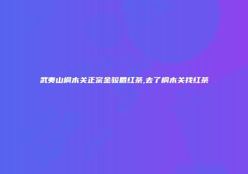 武夷山桐木关正宗金骏眉红茶,去了桐木关找红茶