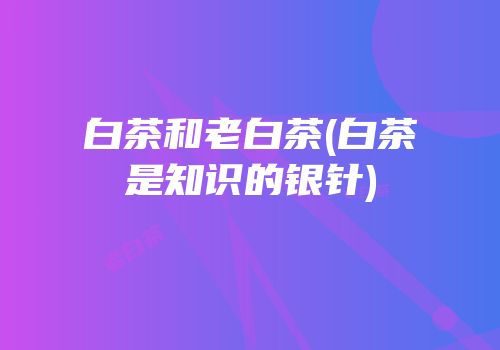 白茶和老白茶(白茶是知识的银针)