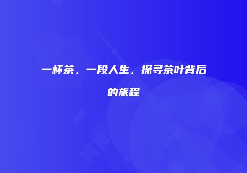 一杯茶，一段人生，探寻茶叶背后的旅程