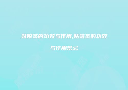 姑娘茶的功效与作用,姑娘茶的功效与作用禁忌
