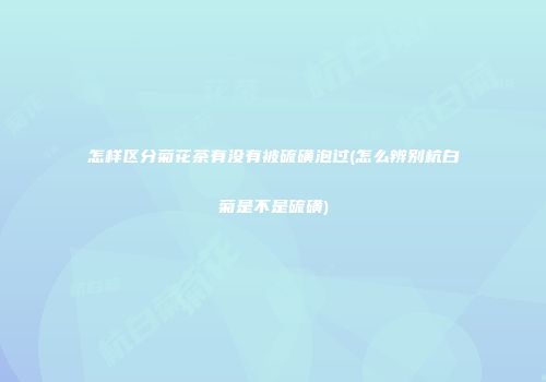 怎样区分菊花茶有没有被硫磺泡过(怎么辨别杭白菊是不是硫磺)