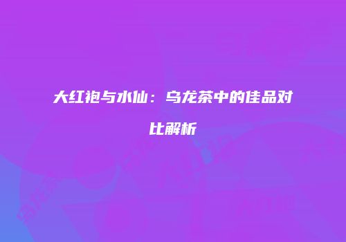 大红袍与水仙：乌龙茶中的佳品对比解析