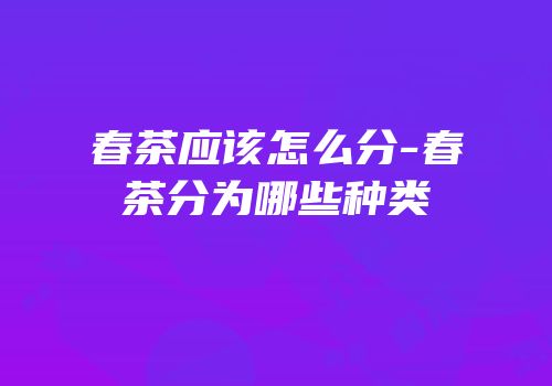 春茶应该怎么分-春茶分为哪些种类