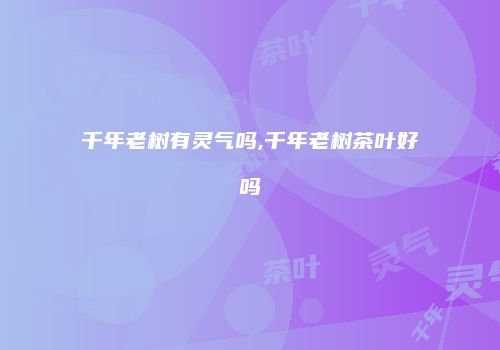 千年老树有灵气吗,千年老树茶叶好吗