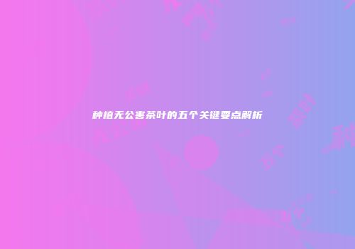 种植无公害茶叶的五个关键要点解析