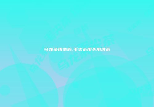 乌龙茶用洗吗,毛尖茶用不用洗茶