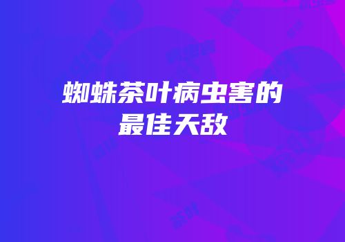 蜘蛛茶叶病虫害的最佳天敌