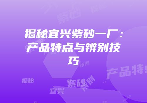 揭秘宜兴紫砂一厂：产品特点与辨别技巧
