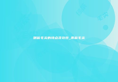 明前毛尖的特点及功效_雨前毛尖