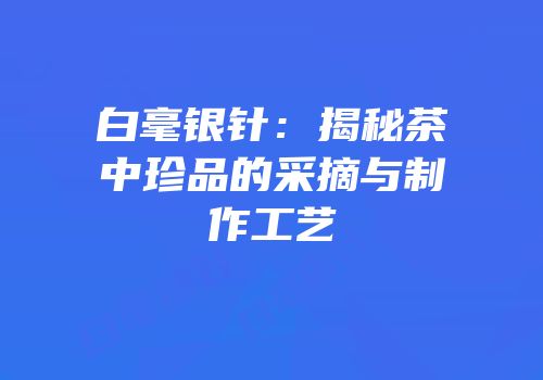 白毫银针：揭秘茶中珍品的采摘与制作工艺
