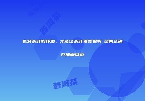 选对茶叶和环境，才能让茶叶更香更醇_如何正确存放普洱茶